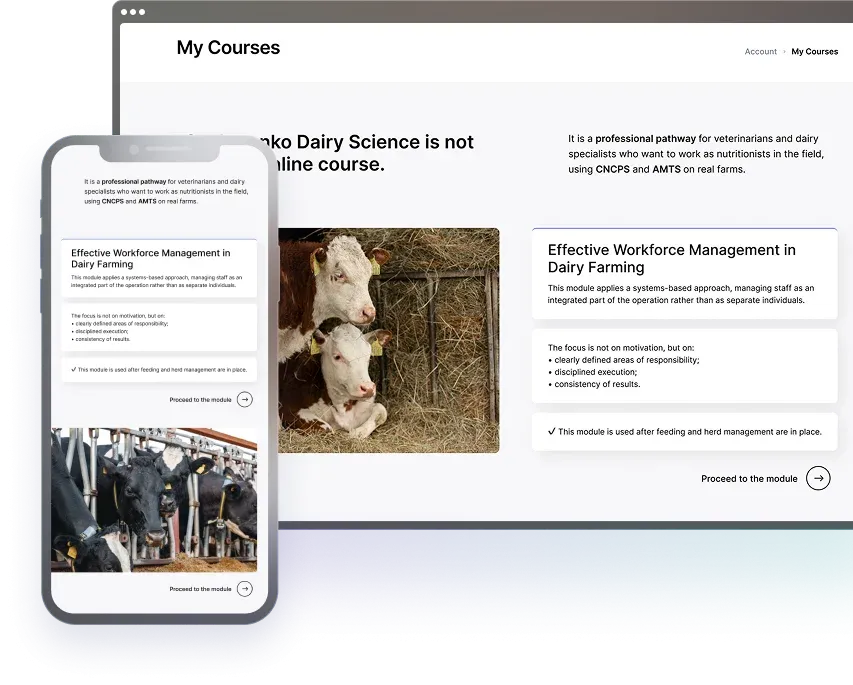 cow farm 1