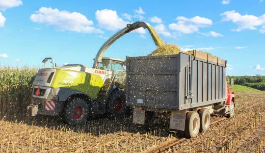 Life After BMR. Why the Future of Corn Silage Is About Systems, Not Genetics